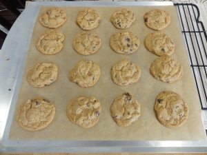 Baked cookies on the tray